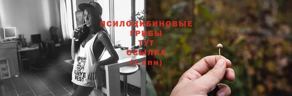спайс Аркадак