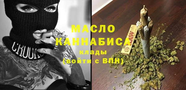 индика Нягань