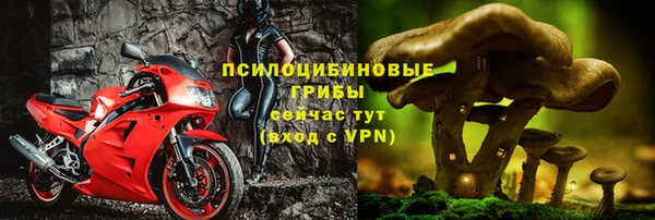 а пвп мука Армянск